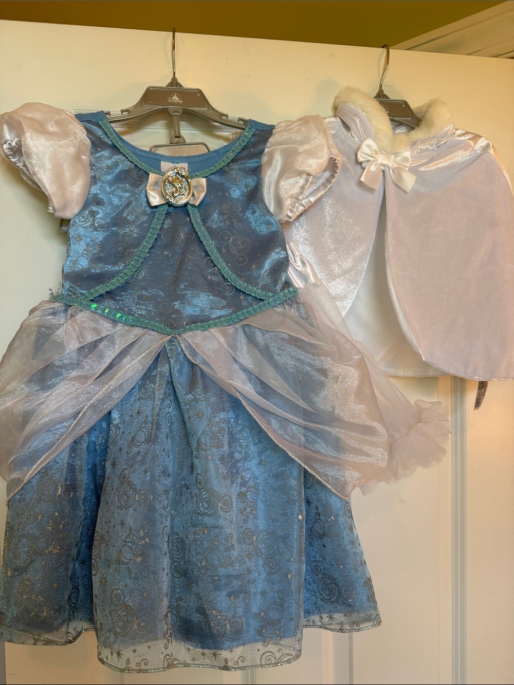 Cinderella Dress with White Velvet Cape and petticoat